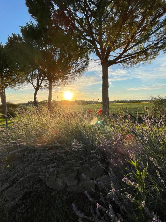 Agriturismo La Colmata Cesa  Zewnętrze zdjęcie