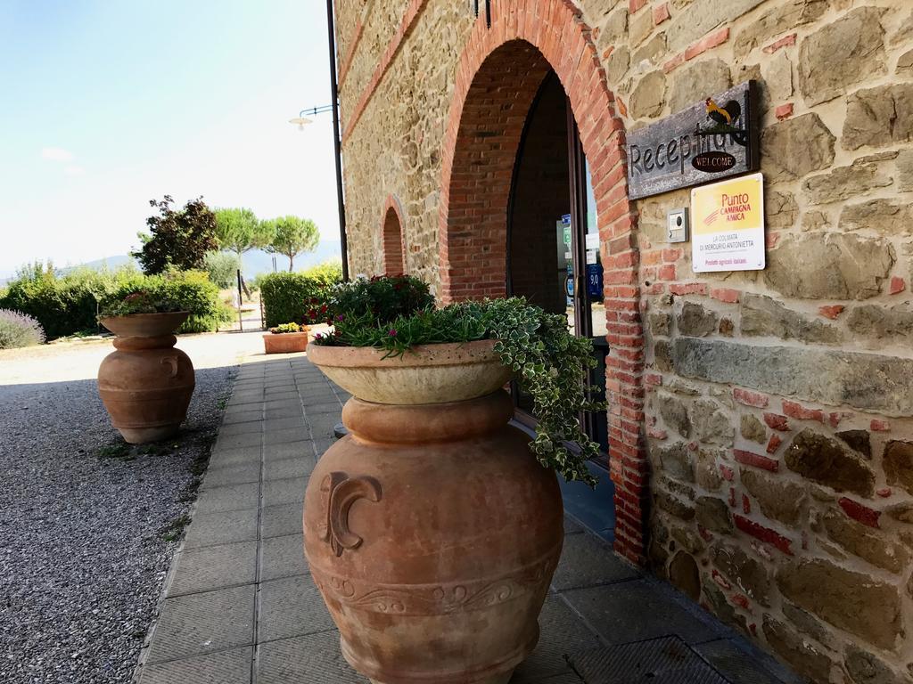Agriturismo La Colmata Cesa  Zewnętrze zdjęcie